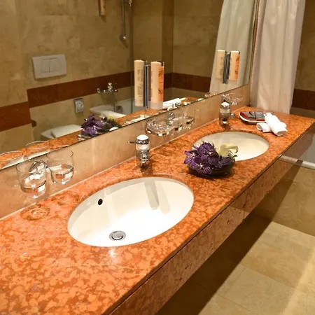 洛桑卡尔顿精品酒店